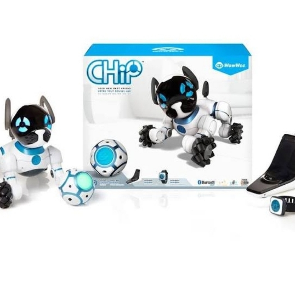 Chip Robot dog